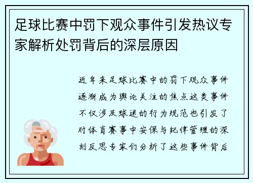 足球比赛中罚下观众事件引发热议专家解析处罚背后的深层原因