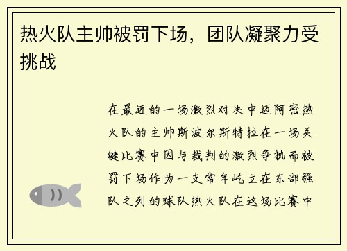 热火队主帅被罚下场，团队凝聚力受挑战