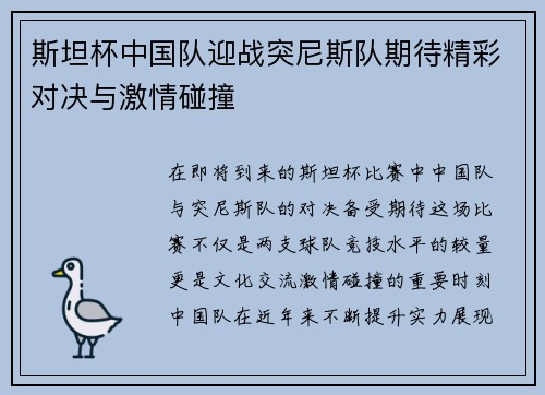 斯坦杯中国队迎战突尼斯队期待精彩对决与激情碰撞