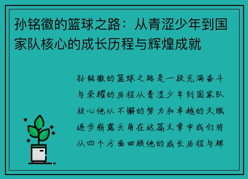 孙铭徽的篮球之路：从青涩少年到国家队核心的成长历程与辉煌成就